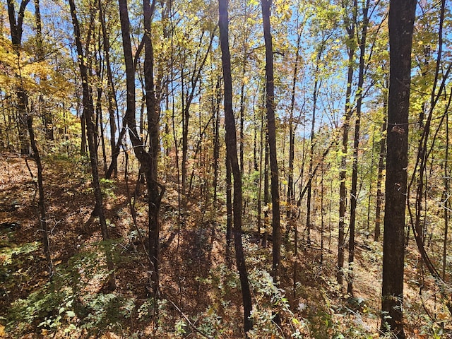 0 Confederate Dr, Clayton, GA 30525