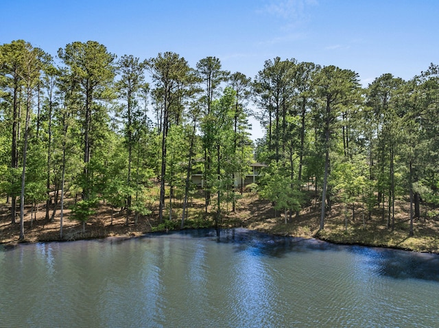 9 Caravel Cir, Mccormick, SC 29835 - water view