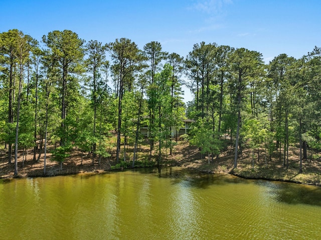 9 Caravel Cir, Mccormick, SC 29835 - water view