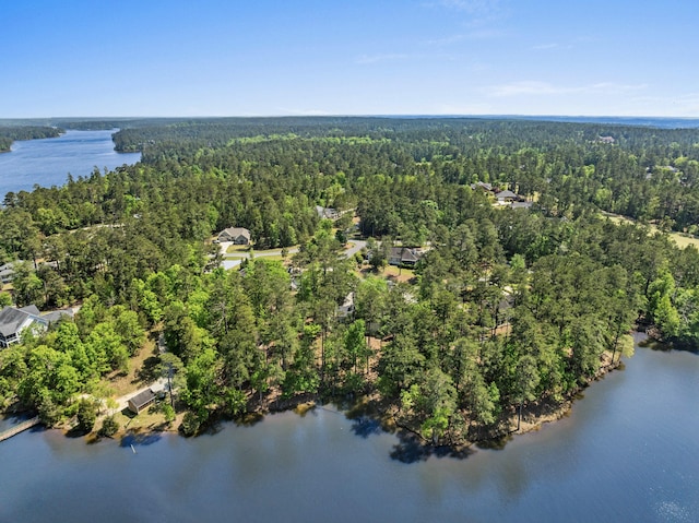 9 Caravel Cir, Mccormick, SC 29835 - aerial view of property's location featuring a forest and a large body of water