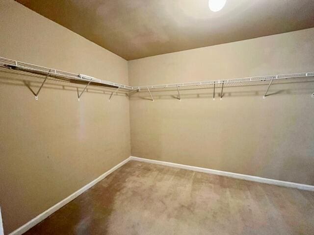 603 Yonto Dr, Grovetown, GA 30813 - walk in closet featuring carpet