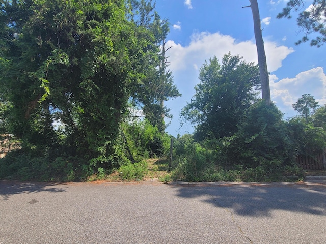 2324 Mimosa Dr, Augusta, GA 30904 - photo 4