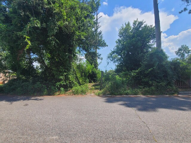 2324 Mimosa Dr, Augusta, GA 30904 - photo 5
