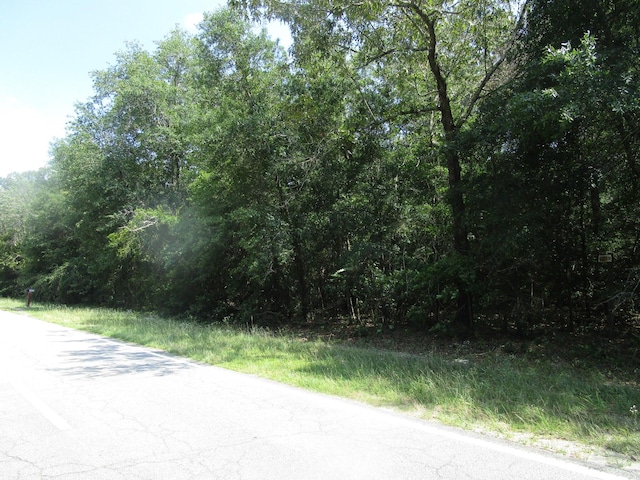 1436 Hephzibah Mcbean Rd, Hephzibah, GA 30815 - photo 1