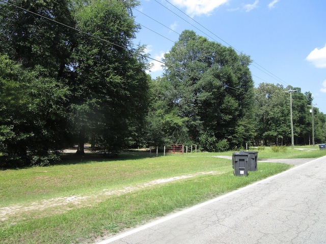 1436 Hephzibah Mcbean Rd, Hephzibah, GA 30815 - photo 8
