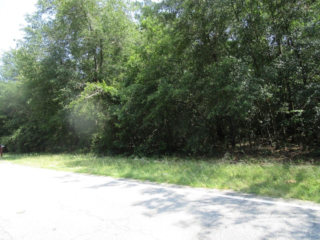 1436 Hephzibah Mcbean Rd, Hephzibah, GA 30815 - photo 9