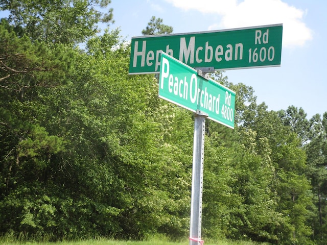 1436 Hephzibah Mcbean Rd, Hephzibah, GA 30815 - photo 6