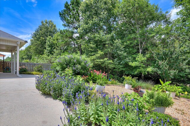 474 Sebastian Dr, Grovetown, GA 30813 - view of yard