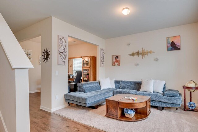 living room with hardwood / wood-style floors