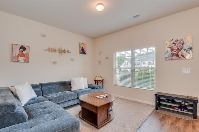 living room featuring hardwood / wood-style floors