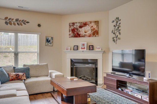 living room featuring hardwood / wood-style floors