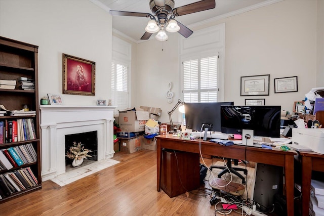 office space with light wood-type flooring, ceiling fan, and ornamental molding