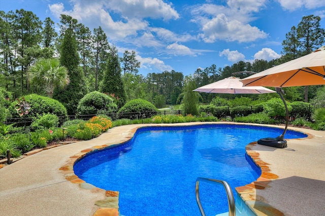 2051 Waterbridge Ln, Aiken, SC 29803 - view of swimming pool with a patio