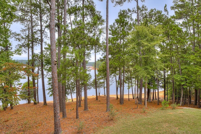 184 Brandywine Dr, Mccormick, SC 29835 - photo 58