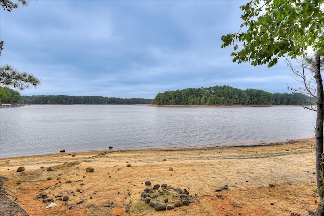 property view of water