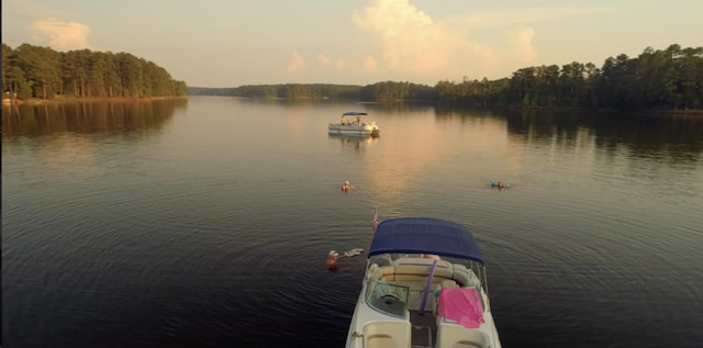 property view of water with a dock and a wooded view