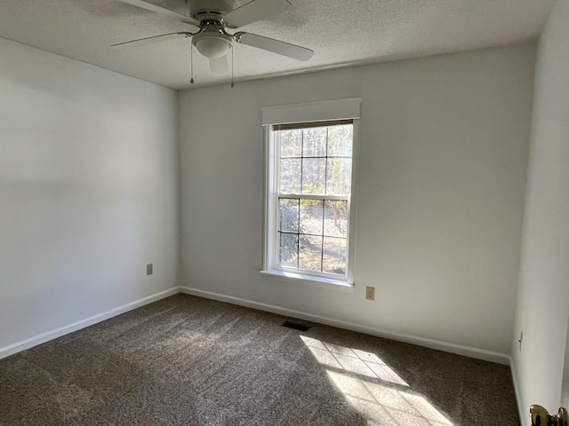 empty room with a textured ceiling, carpet floors, a wealth of natural light, and baseboards