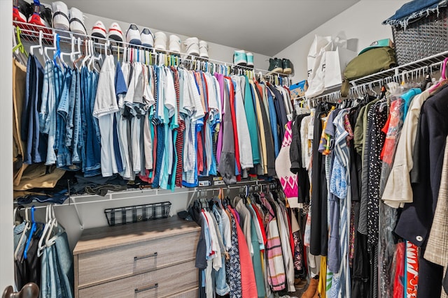 view of spacious closet