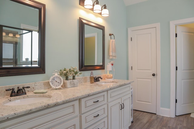 bathroom featuring wood-type flooring and vanity