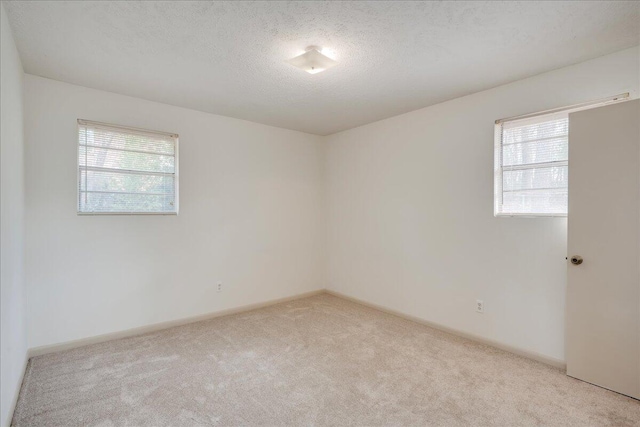 empty room featuring light carpet and a textured ceiling