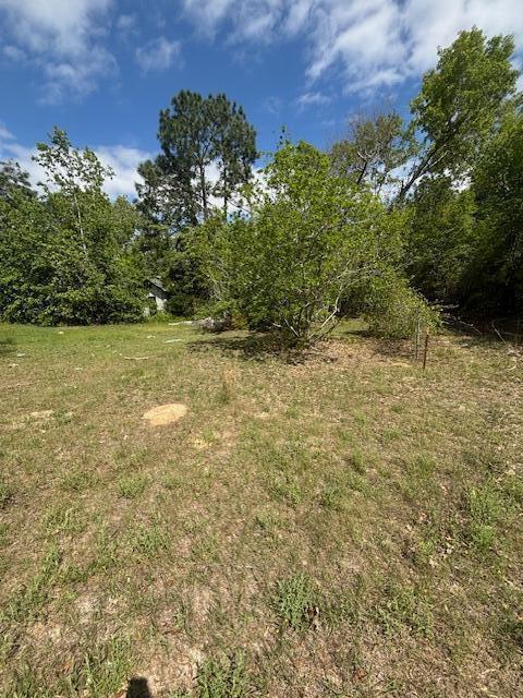 2433 Patiller Rd, Hephzibah, GA 30815 - view of yard