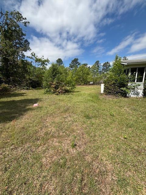 2433 Patiller Rd, Hephzibah, GA 30815 - view of yard