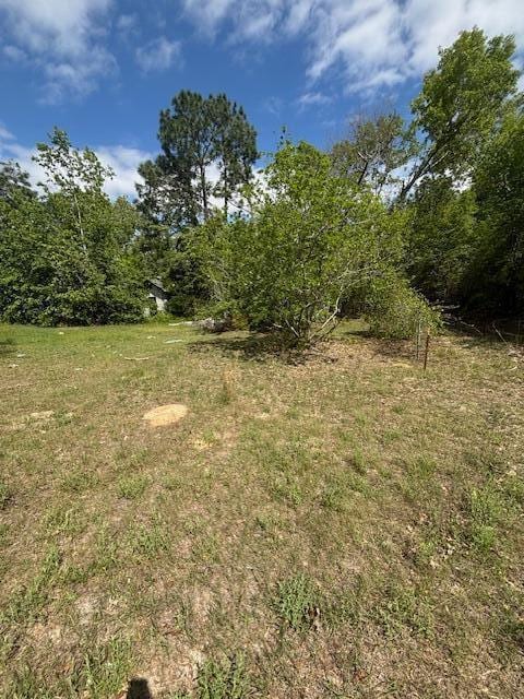 2433 Patiller Rd, Hephzibah, GA 30815 - view of yard