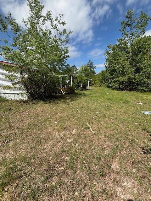 2433 Patiller Rd, Hephzibah, GA 30815 - view of yard