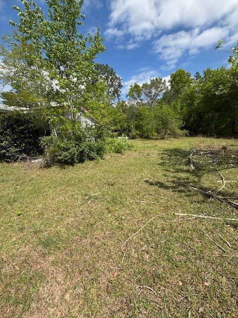 2433 Patiller Rd, Hephzibah, GA 30815 - view of landscape
