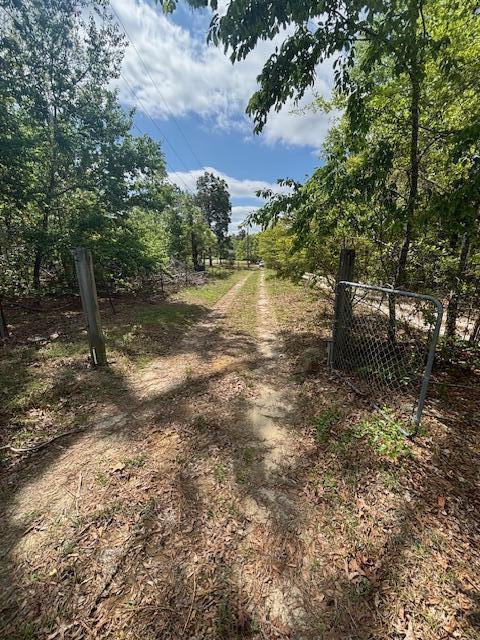 2433 Patiller Rd, Hephzibah, GA 30815 - view of street