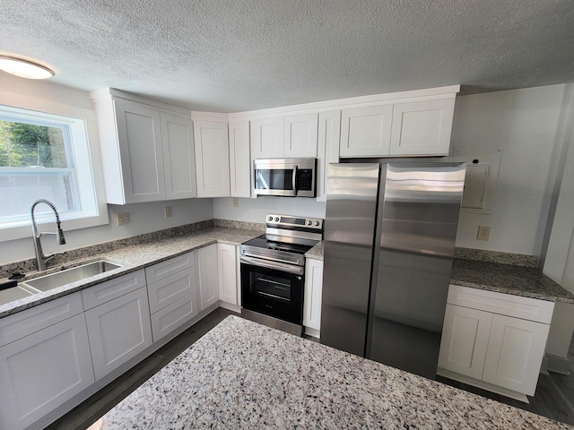 kitchen featuring light stone countertops, stainless steel appliances, and a sink