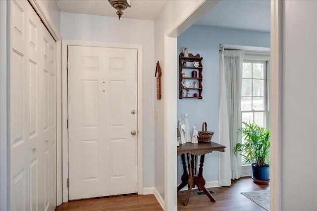 entryway featuring hardwood / wood-style flooring