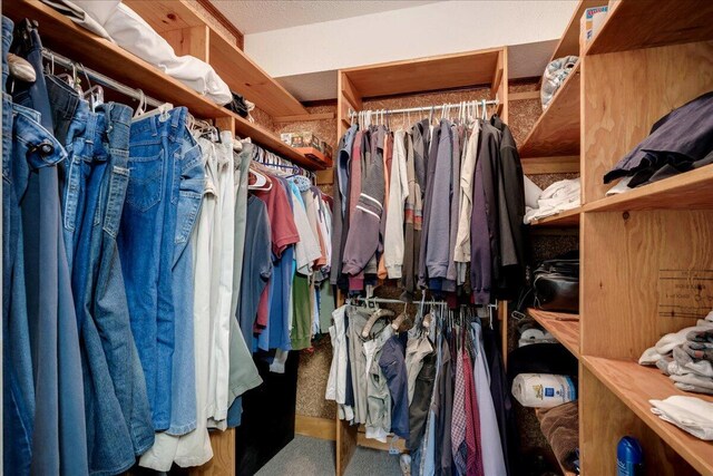 spacious closet featuring carpet