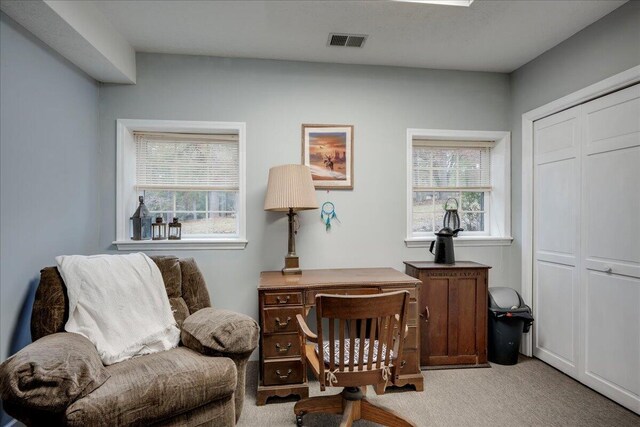 view of carpeted home office