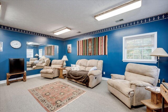 carpeted living room with a textured ceiling and a wealth of natural light