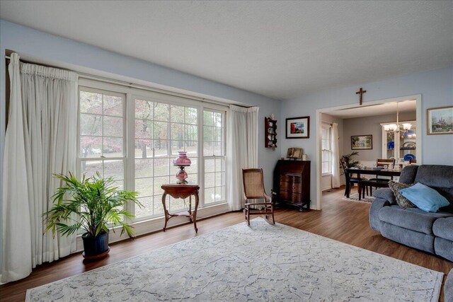 living room featuring a chandelier, a textured ceiling, and hardwood / wood-style flooring