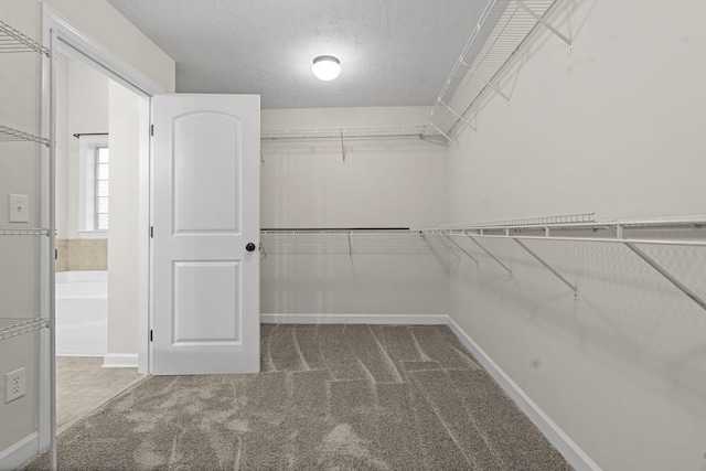 227 Dominion Dr, Aiken, SC 29803 - photo 50