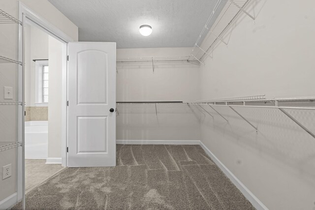 227 Dominion Dr, Aiken, SC 29803 - photo 53
