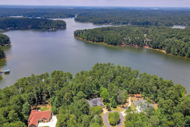 204 Chickadee Ct, Mccormick, SC 29835 - photo 61