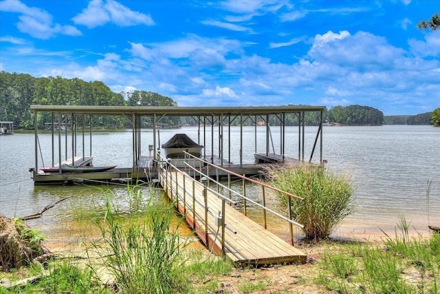 204 Chickadee Ct, Mccormick, SC 29835 - photo 67