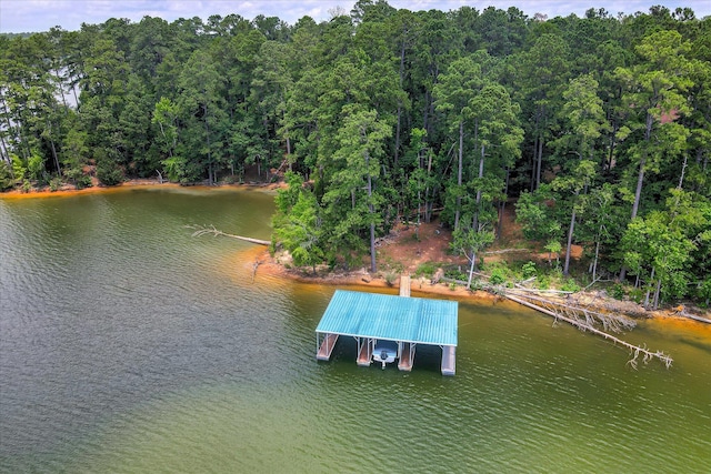 204 Chickadee Ct, Mccormick, SC 29835 - photo 68