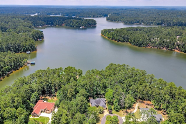204 Chickadee Ct, Mccormick, SC 29835 - photo 59