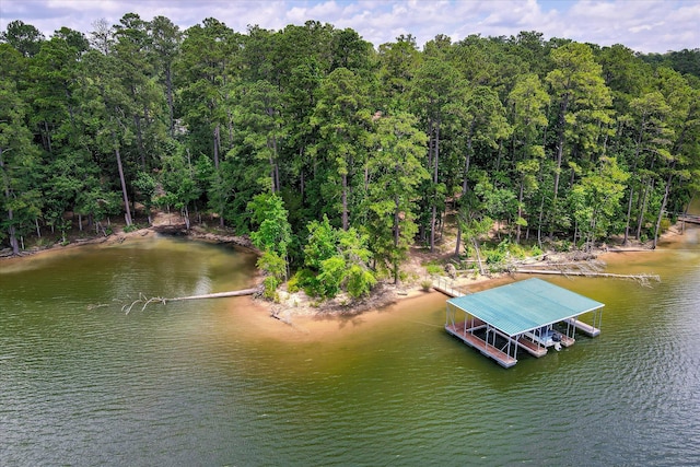 204 Chickadee Ct, Mccormick, SC 29835 - photo 69
