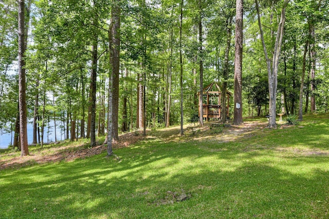 204 Chickadee Ct, Mccormick, SC 29835 - photo 54