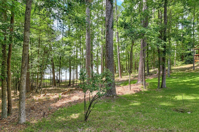 204 Chickadee Ct, Mccormick, SC 29835 - photo 52