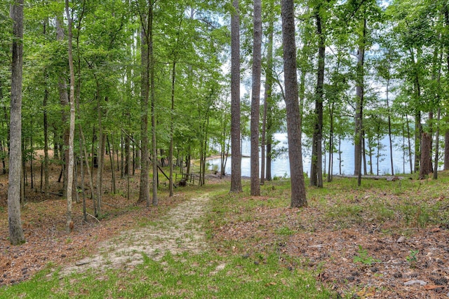 204 Chickadee Ct, Mccormick, SC 29835 - photo 62