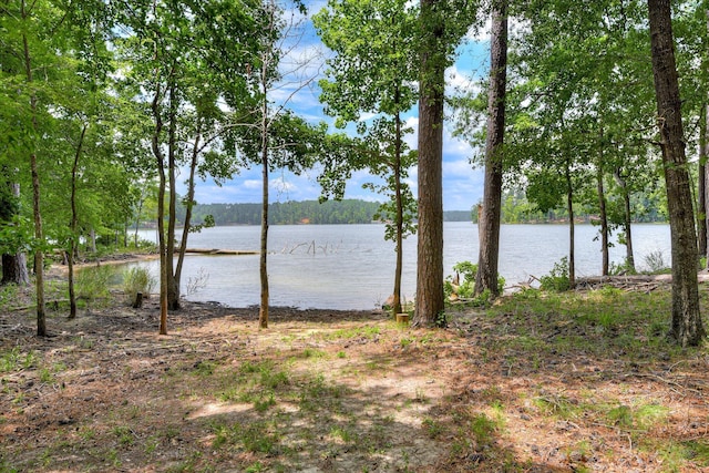 204 Chickadee Ct, Mccormick, SC 29835 - photo 66