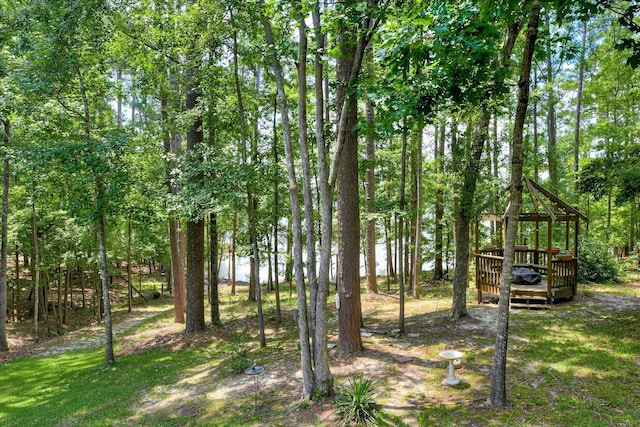 204 Chickadee Ct, Mccormick, SC 29835 - photo 48