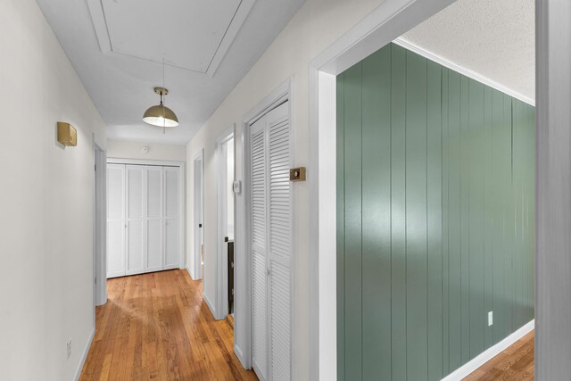 hall with wooden walls and hardwood / wood-style flooring