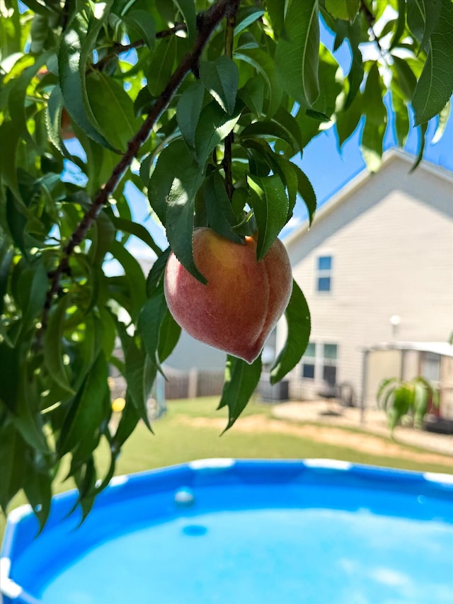 324 Congling Cir, Grovetown, GA 30813 - outdoor pool featuring a patio area